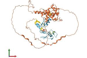 Protein Structure (PS) image for Zinc Finger and BTB Domain Containing 42 (ZBTB42) (AA 1-422) protein (His tag) (ABIN7545286)