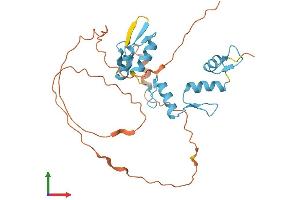 Protein Structure (PS) image for Snail Homolog 3 (SNAI3) (AA 1-287) protein (His tag) (ABIN7561775)