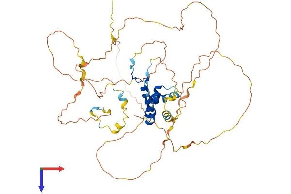 SOX10 Protein (AA 1-466) (His tag)