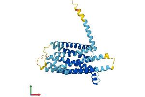 AlphaFold protein structure predicition of Mouse Recombinant Tas2r129 Protein, UniprotID Q7M709 (TAS2R129 Protein (AA 1-320) (His tag))