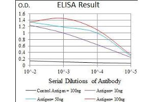 Black line: Control Antigen (100 ng), Purple line: Antigen(10 ng), Blue line: Antigen (50 ng), Red line: Antigen (100 ng), (Fc epsilon RI/FCER1A 抗体  (AA 42-103))