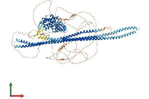 Protein Structure (PS) image for STE20-Like Kinase (SLK) (AA 1-1235) protein (His tag) (ABIN7555496)