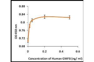 Activity Assay (AcA) image for Glia Maturation Factor, beta (GMFB) (Active) protein (ABIN5509463) (GMFB 蛋白)