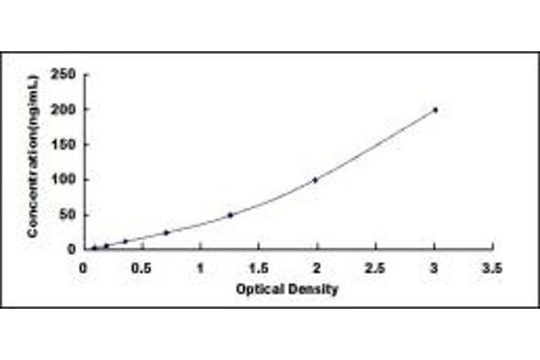 CS ELISA 试剂盒