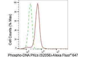 Flow cytometric analysis of Phospho-DNA PKcs (S) expression in HT- cells using Phospho-DNA PKcs (S) antibody (ABIN7800014), 1:2,000). (Recombinant PRKDC 抗体  (pSer2056))
