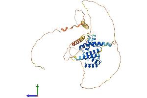 Protein Structure (PS) image for POU Domain, Class 4, Transcription Factor 1 (POU4F1) (AA 1-421) protein (His tag) (ABIN7562911)