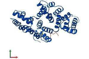 Protein Structure (PS) image for Annexin A8-Like 2 (ANXA8L2) (AA 1-327) protein (His tag) (ABIN7552491)