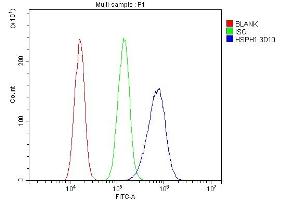 Flow Cytometry analysis of A431 cells using anti-HSPH1 antibody (ABIN7602237).