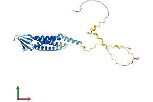 Protein Structure (PS) image for Claudin 23 (CLDN23) (AA 1-296) protein (His tag) (ABIN7561080)