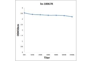 Antigen: 2 µg/100 µL Primary: Antiserum, 1:500, 1:1000, 1:2000, 1:4000, 1:8000, 1:16000, 1:32000; Secondary: HRP conjugated Rabbit Anti-Goat IgG at 1: 5000; TMB staining Read the data in Microplate Reader by 450nm. (Surfactant Protein C 抗体  (AA 24-58))