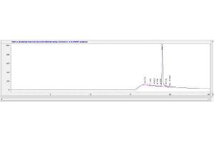 Image no. 1 for Brain Natriuretic Peptide (BNP) peptide (Ovalbumin) (ABIN5666101) (Brain Natriuretic Peptide (BNP) peptide (Ovalbumin))