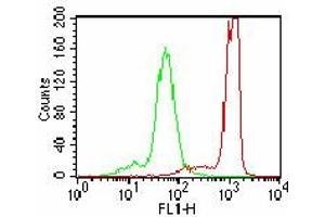Image no. 2 for anti-Interleukin 17A (IL17A) (AA 1-75) antibody (ABIN1490779) (Interleukin 17a 抗体  (AA 1-75))
