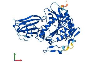 Protein Structure (PS) image for Bile Acid CoA: Amino Acid N-Acyltransferase (Glycine N-Choloyltransferase) (BAAT) (AA 1-418) protein (His tag) (ABIN7552652)