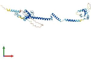 AlphaFold protein structure predicition of Human Recombinant RNF32 Protein, UniprotID Q9H0A6