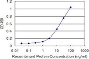 Detection limit for recombinant GST tagged ZBP1 is 0. (ZBP1 抗体  (AA 2-100))