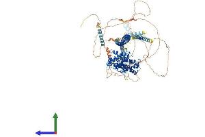 Protein Structure (PS) image for PTPRF Interacting Protein, Binding Protein 1 (Liprin beta 1) (PPFIBP1) (AA 1-969) protein (His tag) (ABIN7564525)
