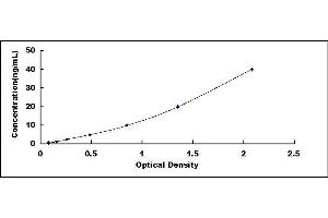 Regenerating Islet-Derived 1 alpha (REG1A) ELISA Kit