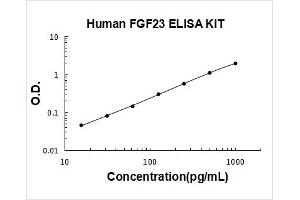 Fibroblast Growth Factor 23 (FGF23) ELISA Kit