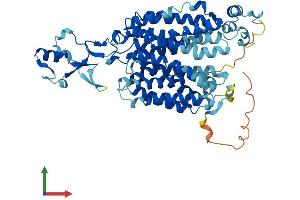 Protein Structure (PS) image for Solute Carrier Family 22 Member 4 (SLC22A4) (AA 1-551) protein (His tag) (ABIN7555348)