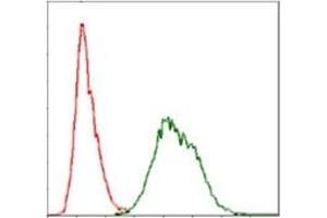 Flow Cytometry (FACS) image for anti-Ubiquitin (Ubiquitin) antibody (ABIN1109441) (Ubiquitin 抗体)