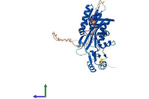 AlphaFold protein structure predicition of Mouse Recombinant Rimkla Protein, UniprotID Q6PFX8