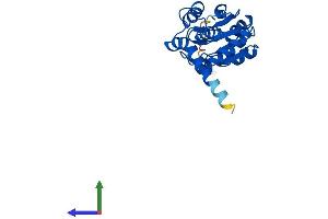 Protein Structure (PS) image for Cyclin-Dependent Kinase Inhibitor 3 (CDKN3) (AA 1-211) protein (His tag) (ABIN7558477)