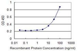 Detection limit for recombinant GST tagged NXF3 is 1 ng/ml as a capture antibody. (NXF3 抗体  (AA 1-100))