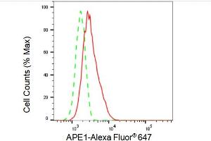 Flow cytometric analysis of APE1 expression in HT- cells using APE1 antibody (ABIN7797636), 1:2,000). (Recombinant APEX1 抗体)
