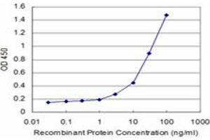Detection limit for recombinant GST tagged TSSK1 is approximately 1ng/ml as a capture antibody. (TSSK1B 抗体  (AA 267-367))