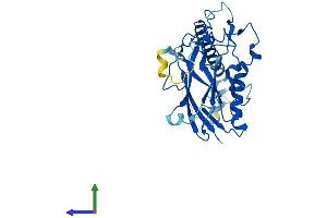 Protein Structure (PS) image for ATPase, Na+/K+ Transporting, beta 1 Polypeptide (ATP1B1) (AA 1-304) protein (His tag) (ABIN7562867)