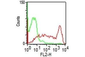 Flow Cytometry of hPBMC using CD45RO Monoclonal Antibody (UCHL-1). (CD45 抗体)