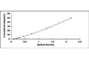 Typical standard curve (SLC10A1 ELISA 试剂盒)