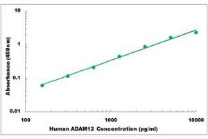 Representative Standard Curve (ADAM12 ELISA 试剂盒)