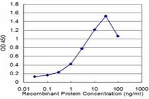 Detection limit for recombinant GST tagged ZBTB16 is approximately 0. (ZBTB16 抗体  (AA 381-480))