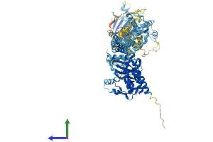 Protein Structure (PS) image for Dual serine/threonine and tyrosine Protein Kinase (DSTYK) (AA 1-927) protein (His tag) (ABIN7564155)
