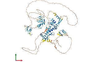 AlphaFold protein structure predicition of Human Recombinant ZNF800 Protein, UniprotID Q2TB10