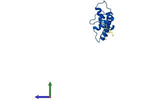 AlphaFold protein structure predicition of Mouse Recombinant H2aj Protein, UniprotID Q8R1M2