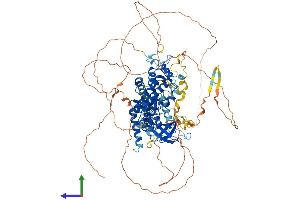 Protein Structure (PS) image for PAN3 Poly(A) Specific Ribonuclease Subunit Homolog (PAN3) (AA 1-887) protein (His tag) (ABIN7554891)