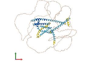 AlphaFold protein structure predicition of Human Recombinant CATSPER1 Protein, UniprotID Q8NEC5 (CATSPER1 Protein (AA 1-780) (His tag))