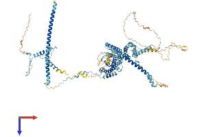 Nop14 Protein (AA 1-860) (His tag)