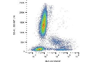 Flow cytometry analysis (surface staining) of human peripheral blood cells with anti-human HLA-DR (MEM-12) PerCP.