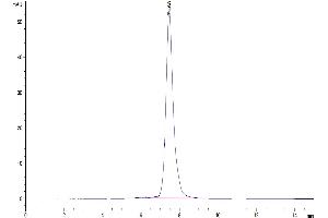 The purity of Canine PRLR is greater than 95 % as determined by SEC-HPLC.