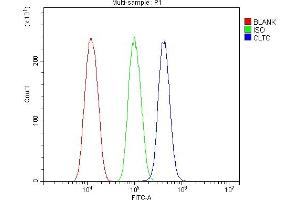 Flow Cytometry analysis of HEPA1-6 cells using anti-Clathrin heavy chain/CLTC antibody (ABIN7602704). (Clathrin Heavy Chain (CLTC) (AA 967-1668) 抗体)