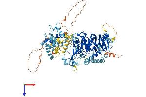 DGKB Protein (AA 1-802) (His tag)