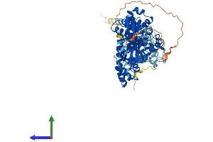 Protein Structure (PS) image for rho-Related BTB Domain Containing 1 (RHOBTB1) (AA 1-696) protein (His tag) (ABIN7551367)
