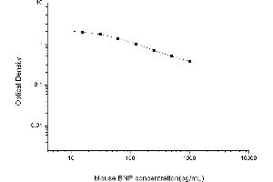 Brain Natriuretic Peptide (BNP) ELISA Kit
