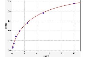 Typical standard curve (AIRE ELISA 试剂盒)