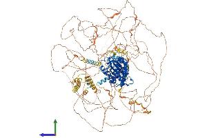 Protein Structure (PS) image for Cdc2-Related Kinase, Arginine/serine-Rich (CRKRS) (AA 1-1490) protein (His tag) (ABIN7553302)