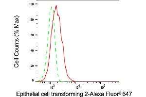 Flow cytometric analysis of Epithelial cell transforming 2 expression in HT- cells using Epithelial cell transforming 2 antibody (ABIN7798482), 1:1,000). (ECT2 抗体)