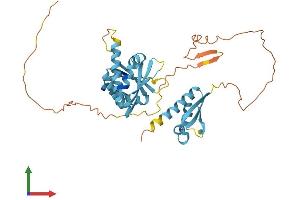 Protein Structure (PS) image for Poly(rC) Binding Protein 3 (PCBP3) (AA 1-371) protein (His tag) (ABIN7550556)